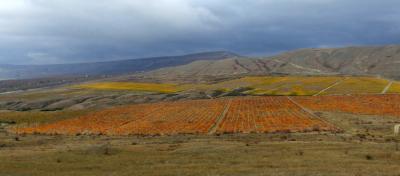 Прикрепленное изображение: DSCF6043 - DSCF6044p.jpg